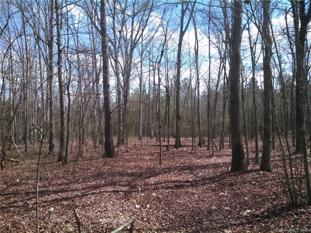 1 Pleasant Grove Church Road Crouse, NC 28033 - Photo 4 of 7 Gallery Image 4