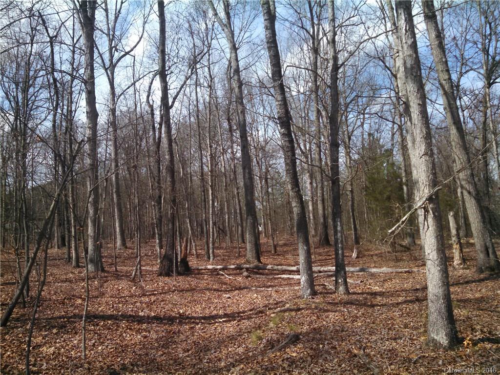 1 Pleasant Grove Church Road Crouse, NC 28033 - Photo 6 of 7 Gallery Image 6