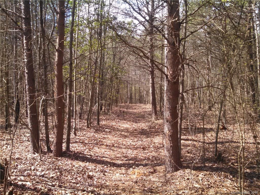 1 Pleasant Grove Church Road Crouse, NC 28033 - Photo 7 of 7 Gallery Image 7