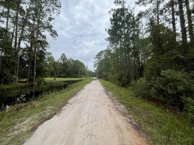 a view of park on side of street