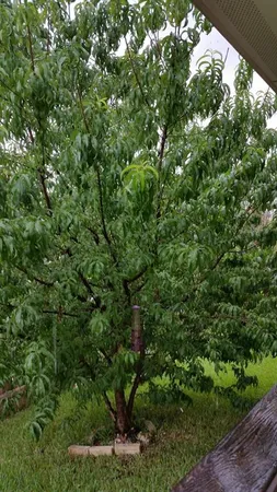 $2,400 | 15301 Fernhill Drive, Austin, TX 78717