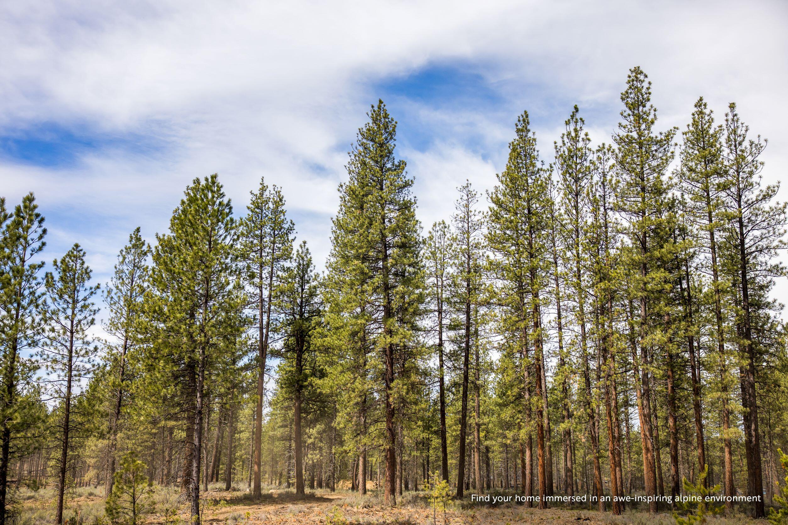Lot 422 Preservation Loop Bend, OR 97707 - Photo 23 of 23 JX6A9515_caption 2