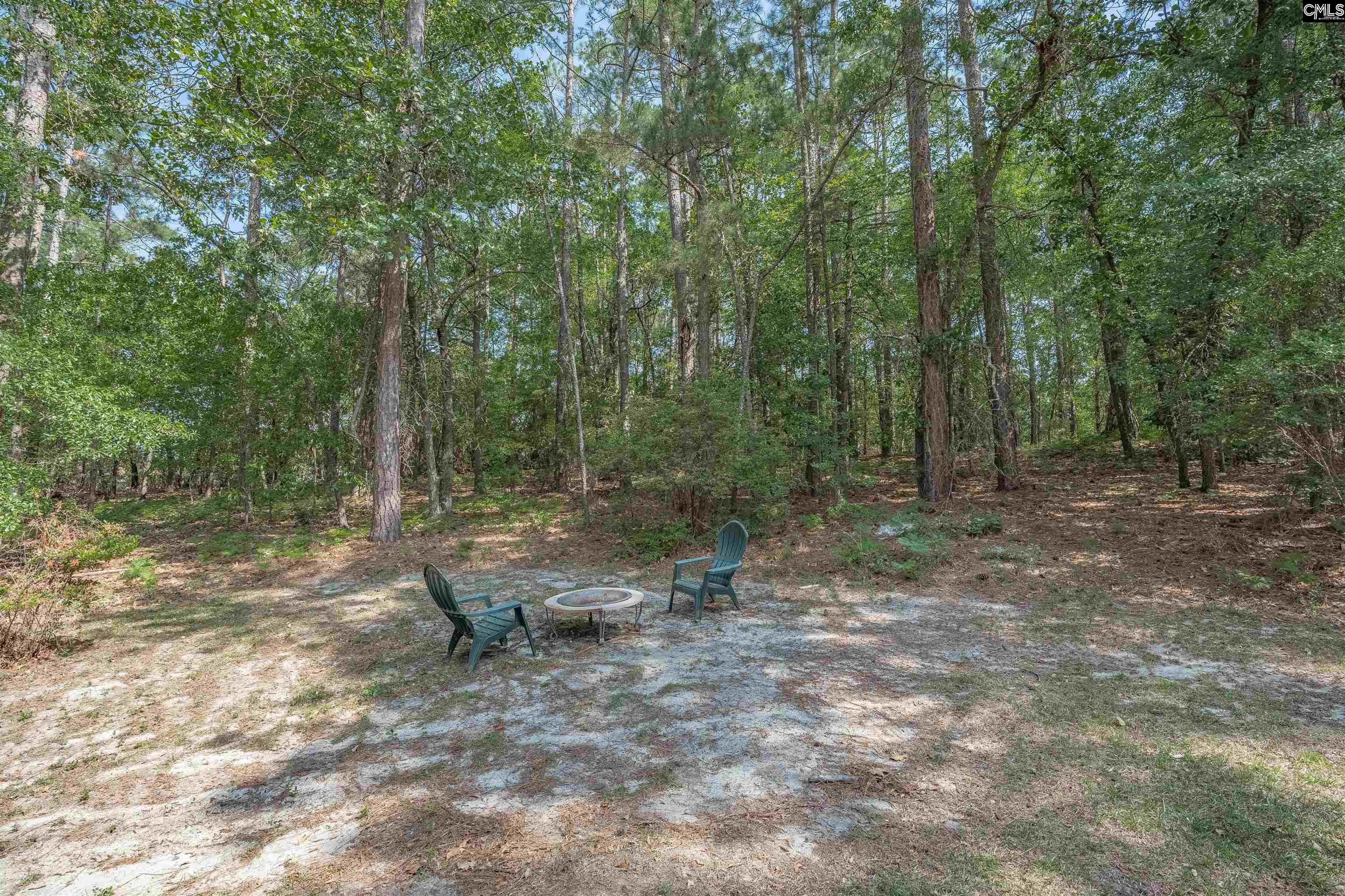 827 East Springs Road Columbia, SC 29223 - Photo 48 of 52