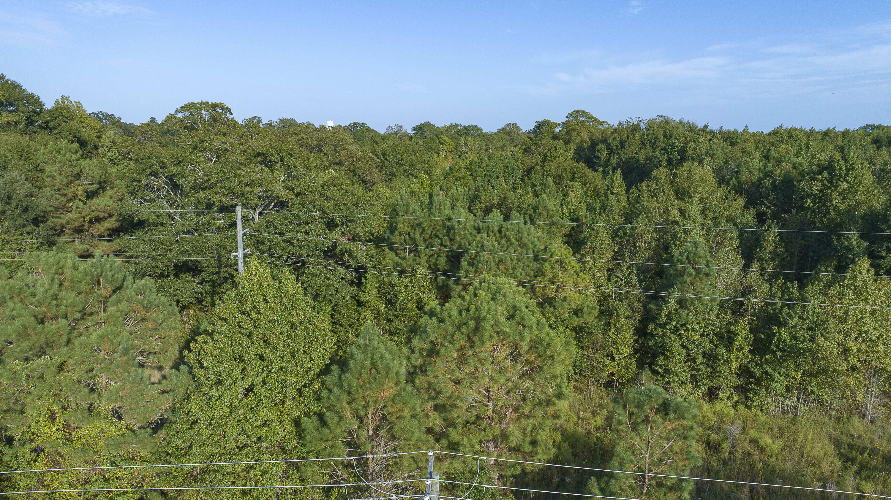 -tbd South Locust Avenue South Denmark, SC 29042 - Photo 31 of 33 South Locust Avenue 9.27.25-46