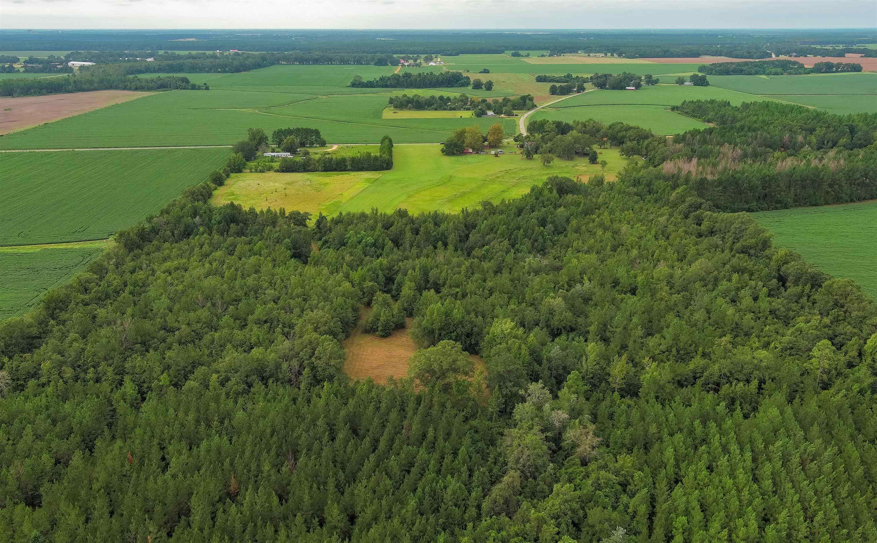 1147 Mack Pond Road Atmore, AL 36502 - Photo 32 of 40 Drone / aerial view featuring a rural view