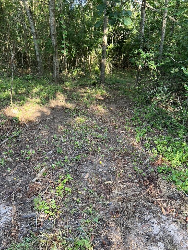 0 Archie Ware Road Trenton, SC 29847 - Photo 7 of 7