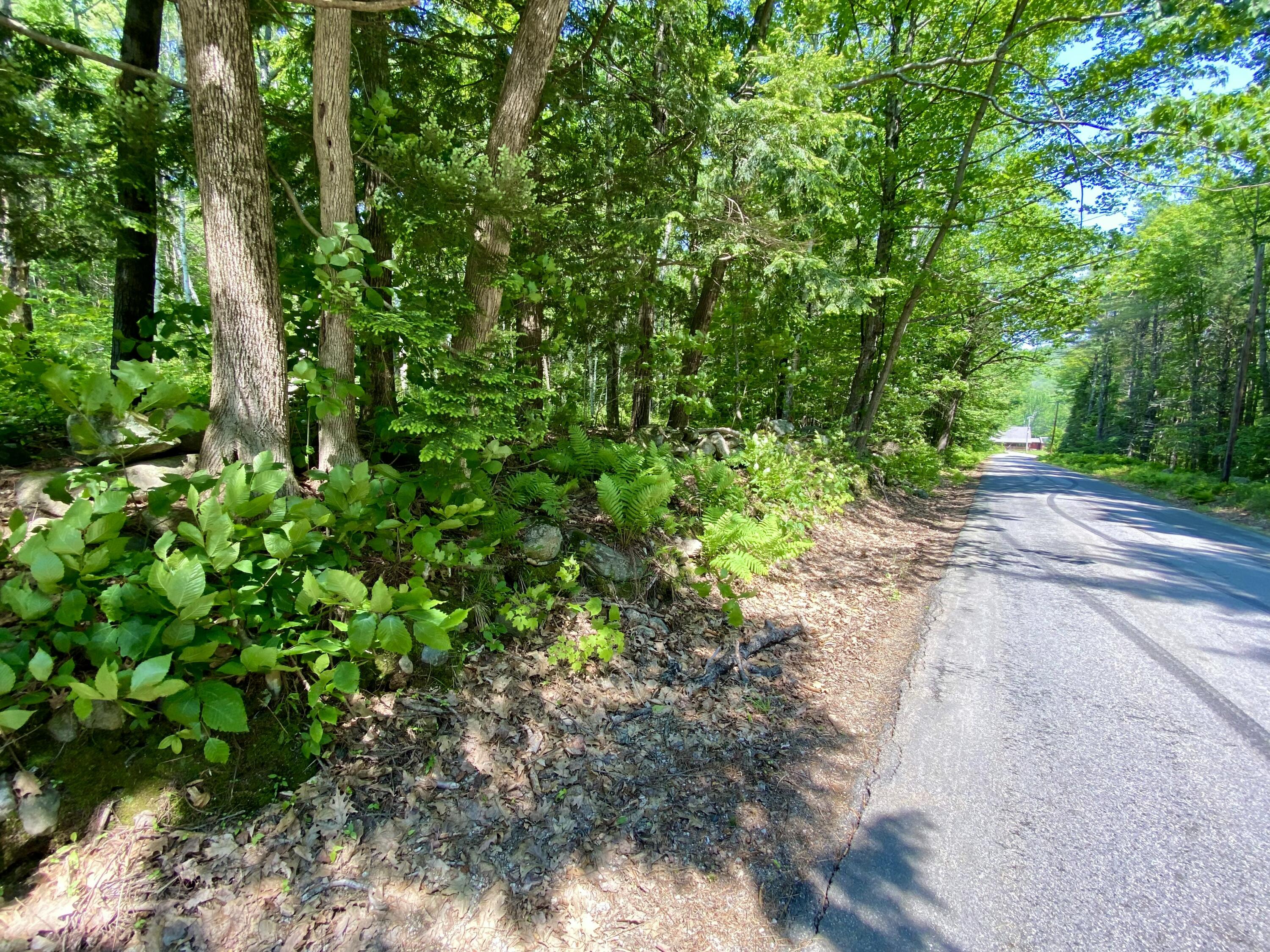 0 Maplecrest Road Parsonsfield, ME 04047 - Photo 1 of 11 IMG_3012