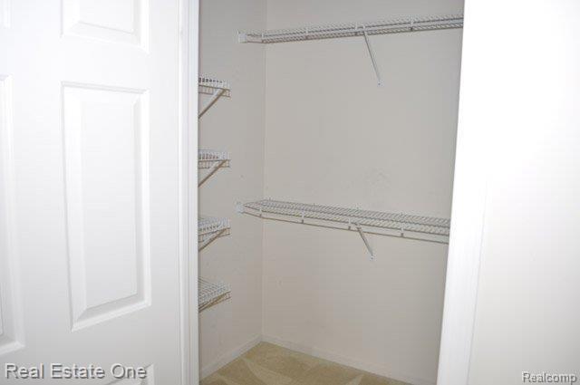 5897 High Point Court, Unit 9 Brighton, MI 48116 - Photo 15 of 22 Master Walkin