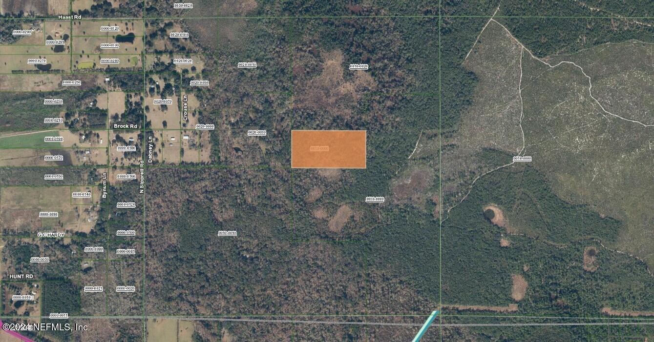 360 Knocker Road Florahome, FL 32140 - Photo 5 of 22 Aerial4