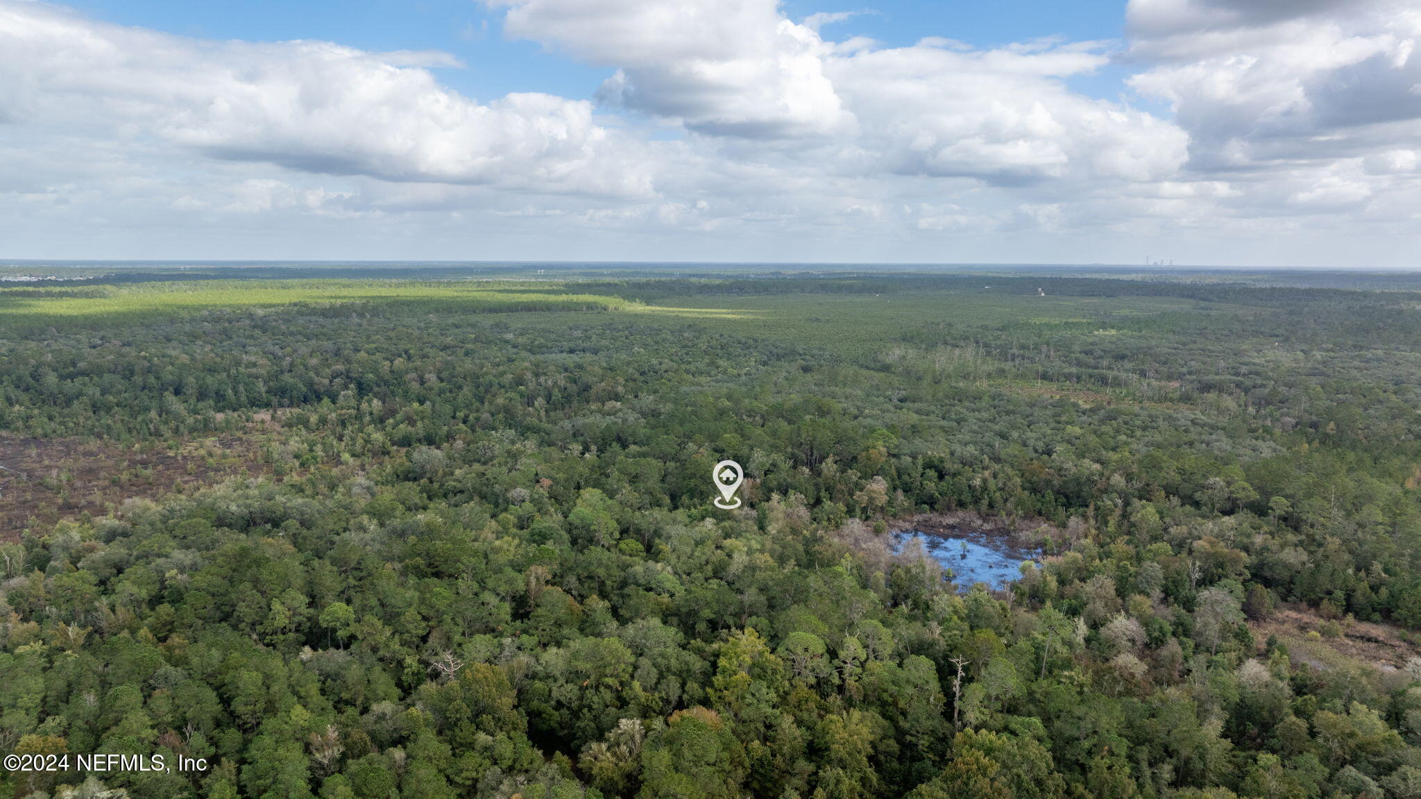 360 Knocker Road Florahome, FL 32140 - Photo 9 of 22 Primary2