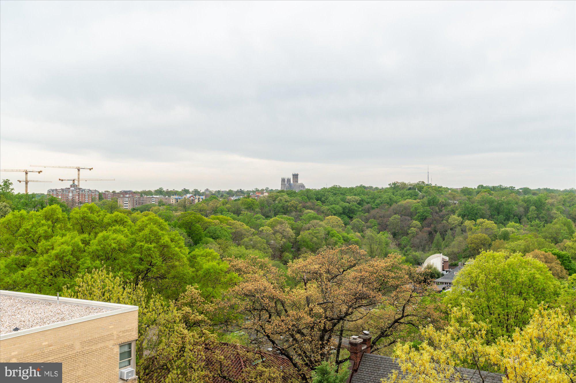 1801 Clydesdale Place Northwest, Unit 505 Washington, DC 20009 - Photo 19 of 21 a view of a bunch of trees in a field
