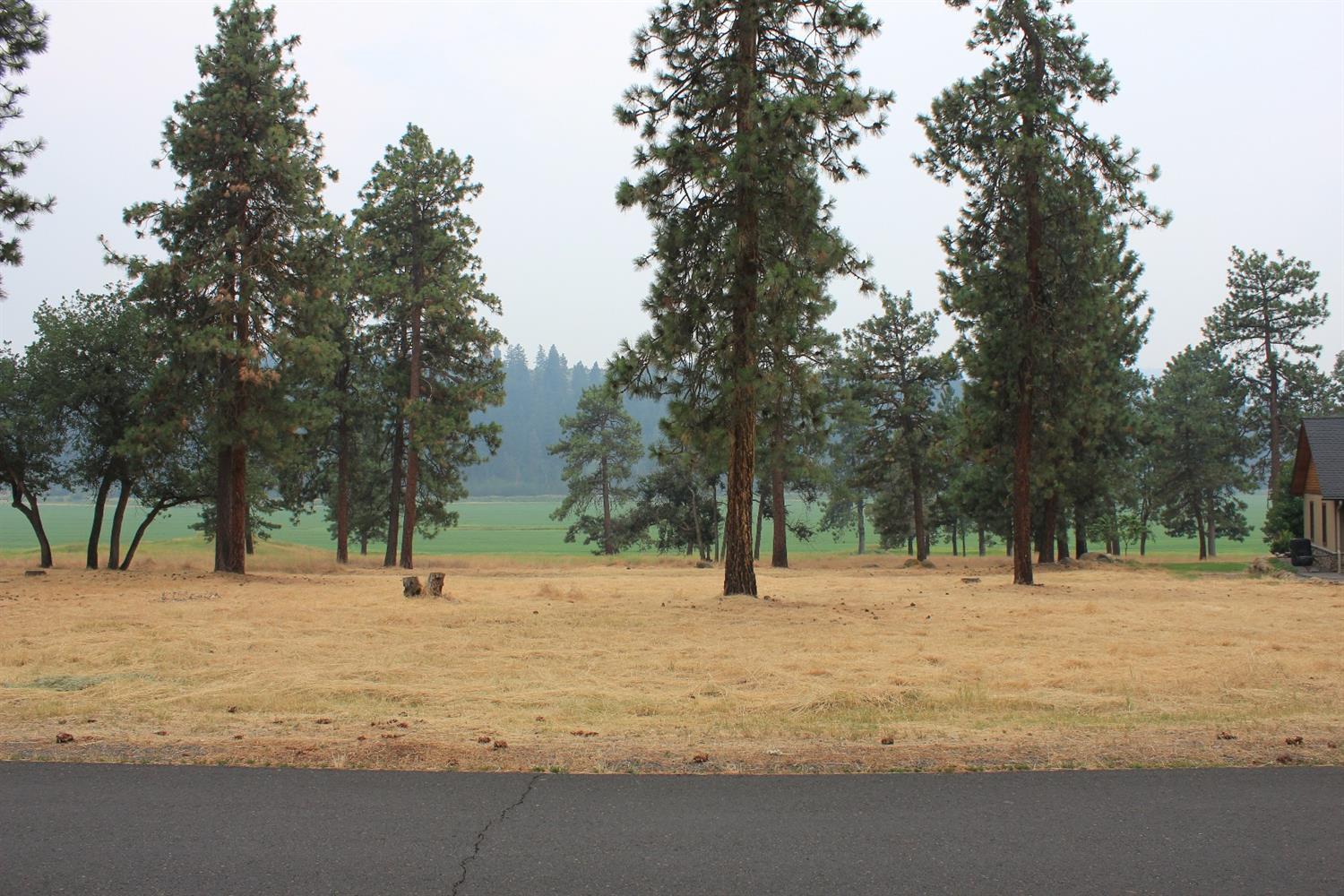 0 Merganser Road Klamath Falls, OR 97601 - Photo 1 of 6 Primary Photo