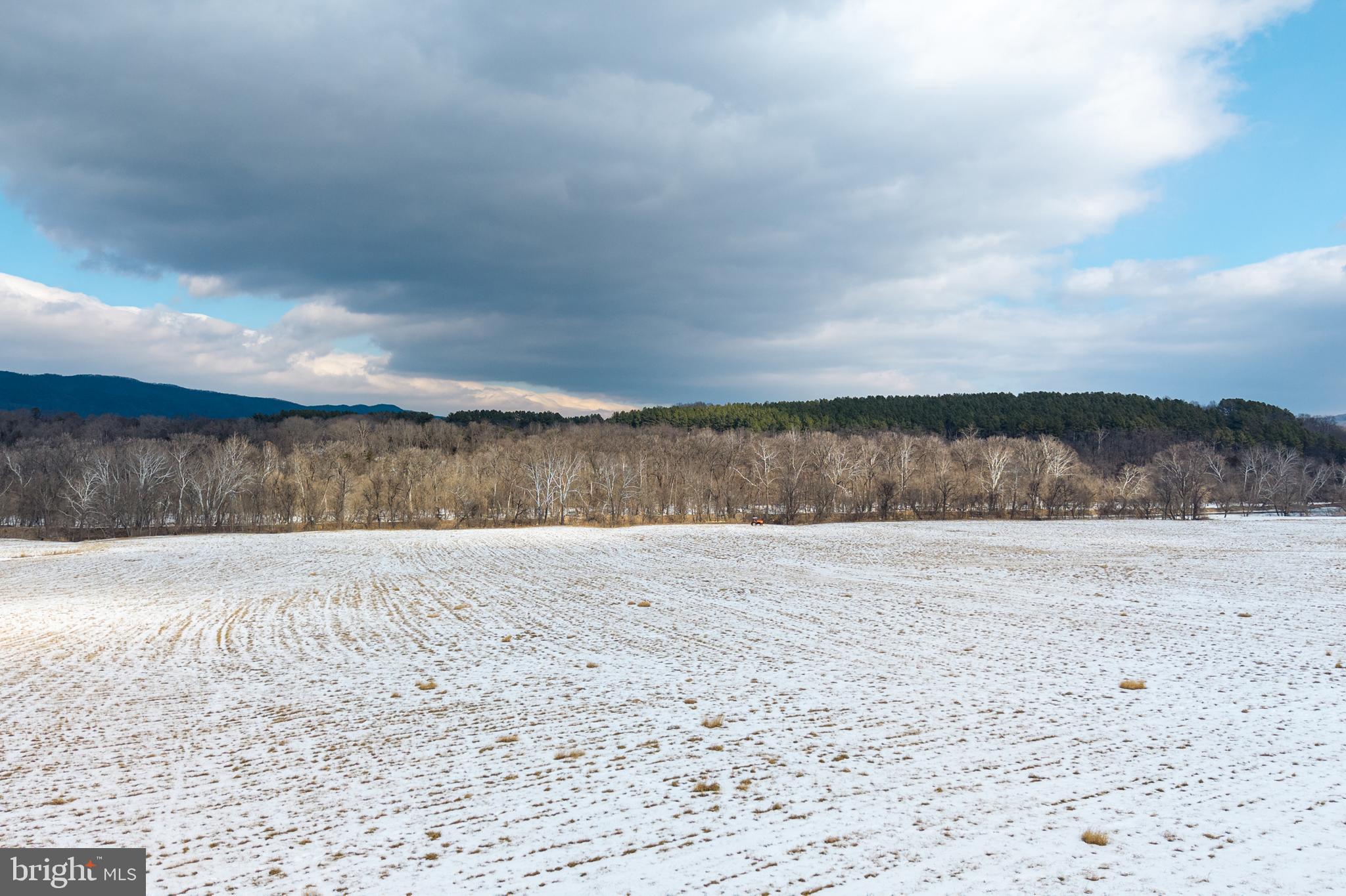0 Good Mill Road Rileyville, VA 22650 - Photo 17 of 46