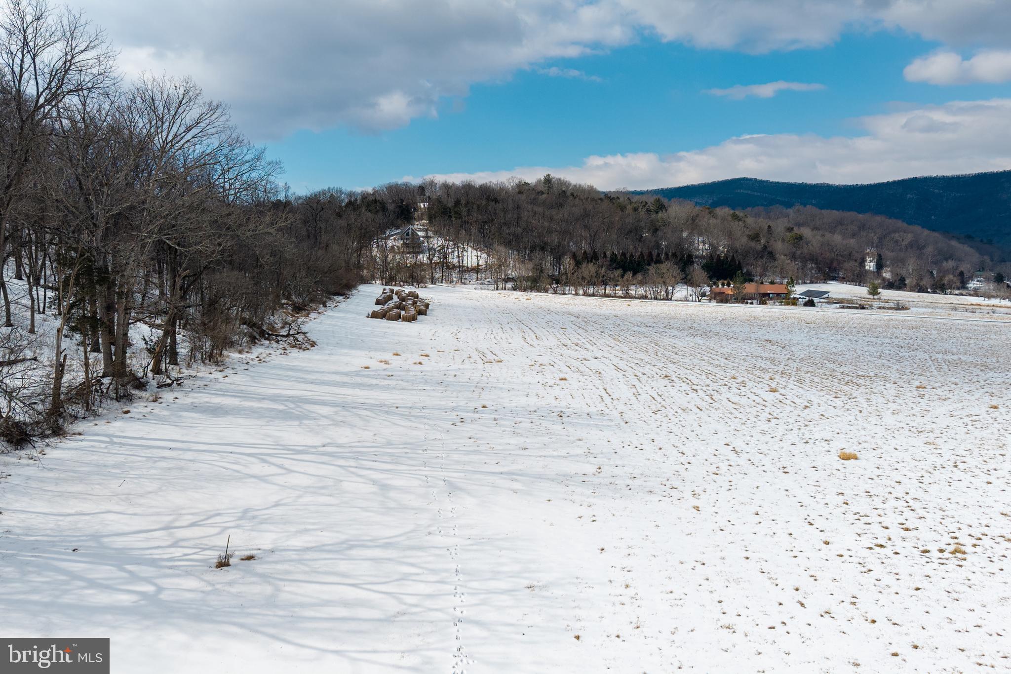 0 Good Mill Road Rileyville, VA 22650 - Photo 18 of 46 a view of a dry yard with mountain view