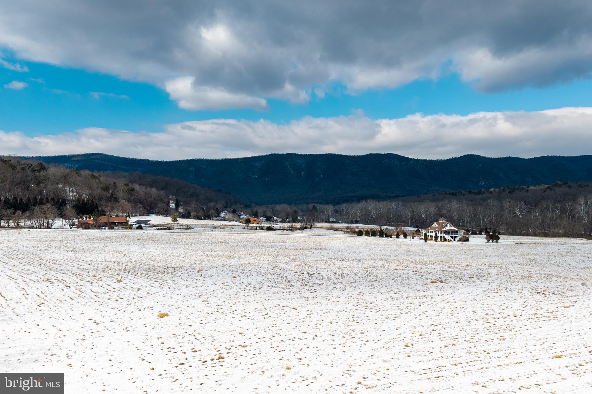 0 Good Mill Road Rileyville, VA 22650 - Photo 20 of 46 a view of a yard with a snow