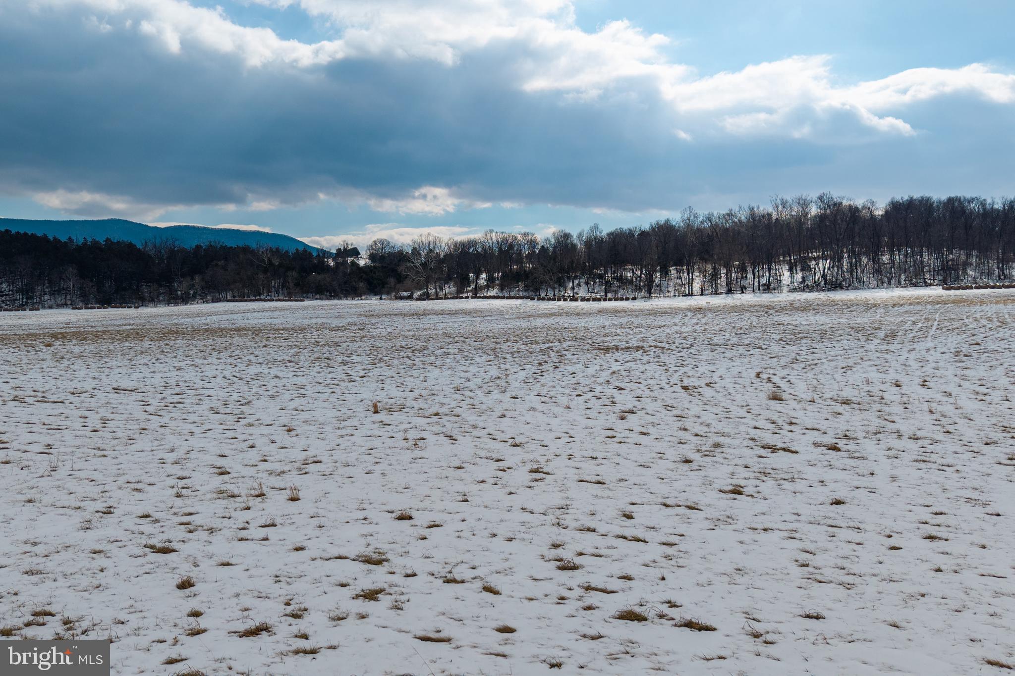0 Good Mill Road Rileyville, VA 22650 - Photo 23 of 46 a view of a yard