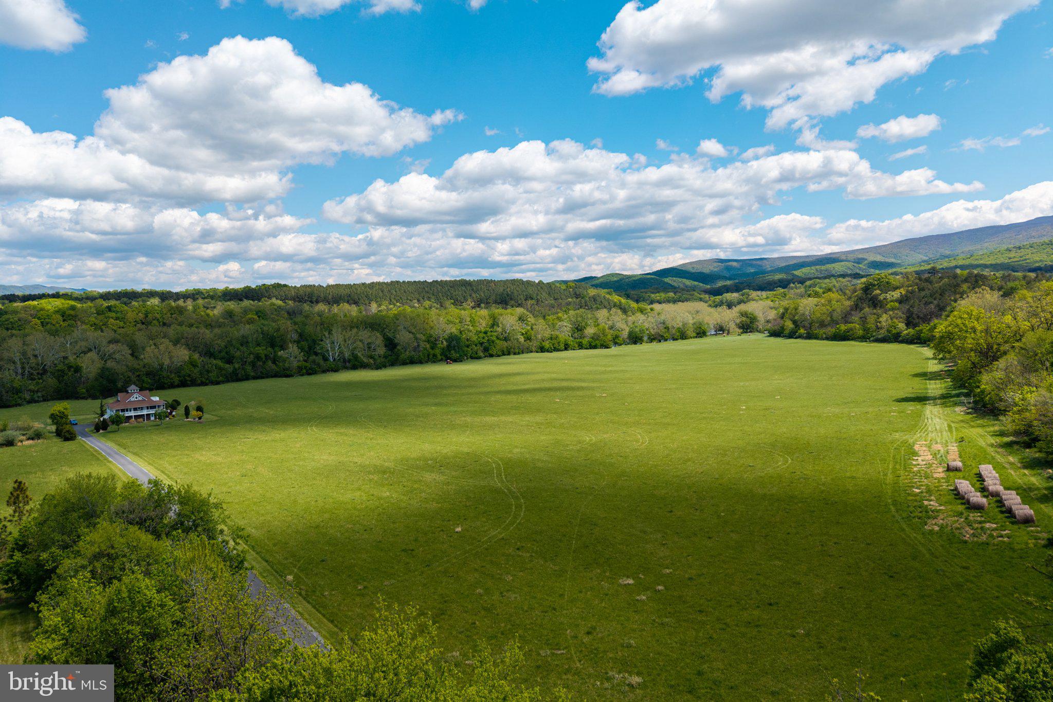 0 Good Mill Road Rileyville, VA 22650 - Photo 24 of 51 Expansive green fields under blue skies.