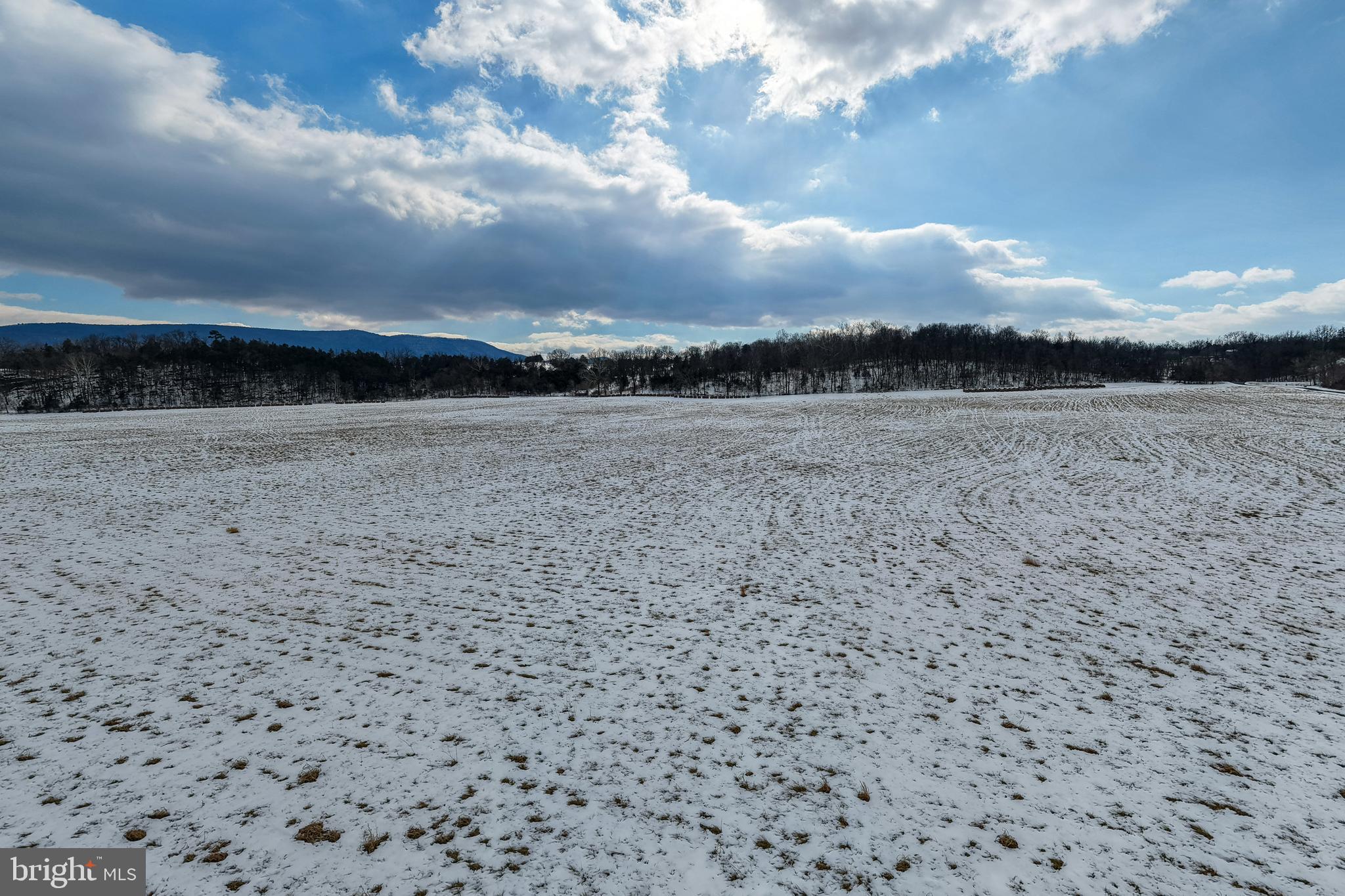 0 Good Mill Road Rileyville, VA 22650 - Photo 25 of 46 a view of a dry yard with wooden floor