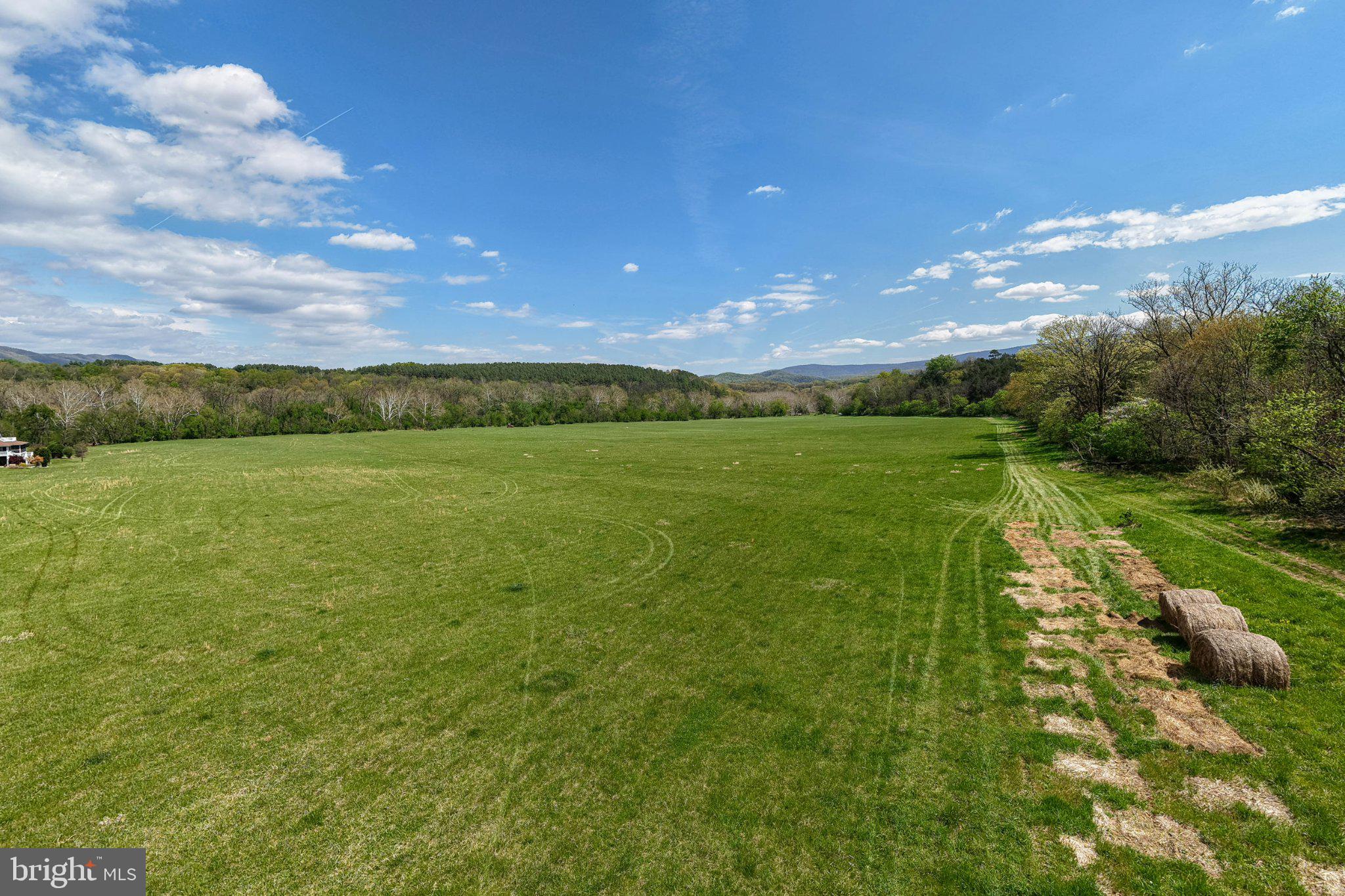 0 Good Mill Road Rileyville, VA 22650 - Photo 26 of 51 Vast green fields under a blue sky.