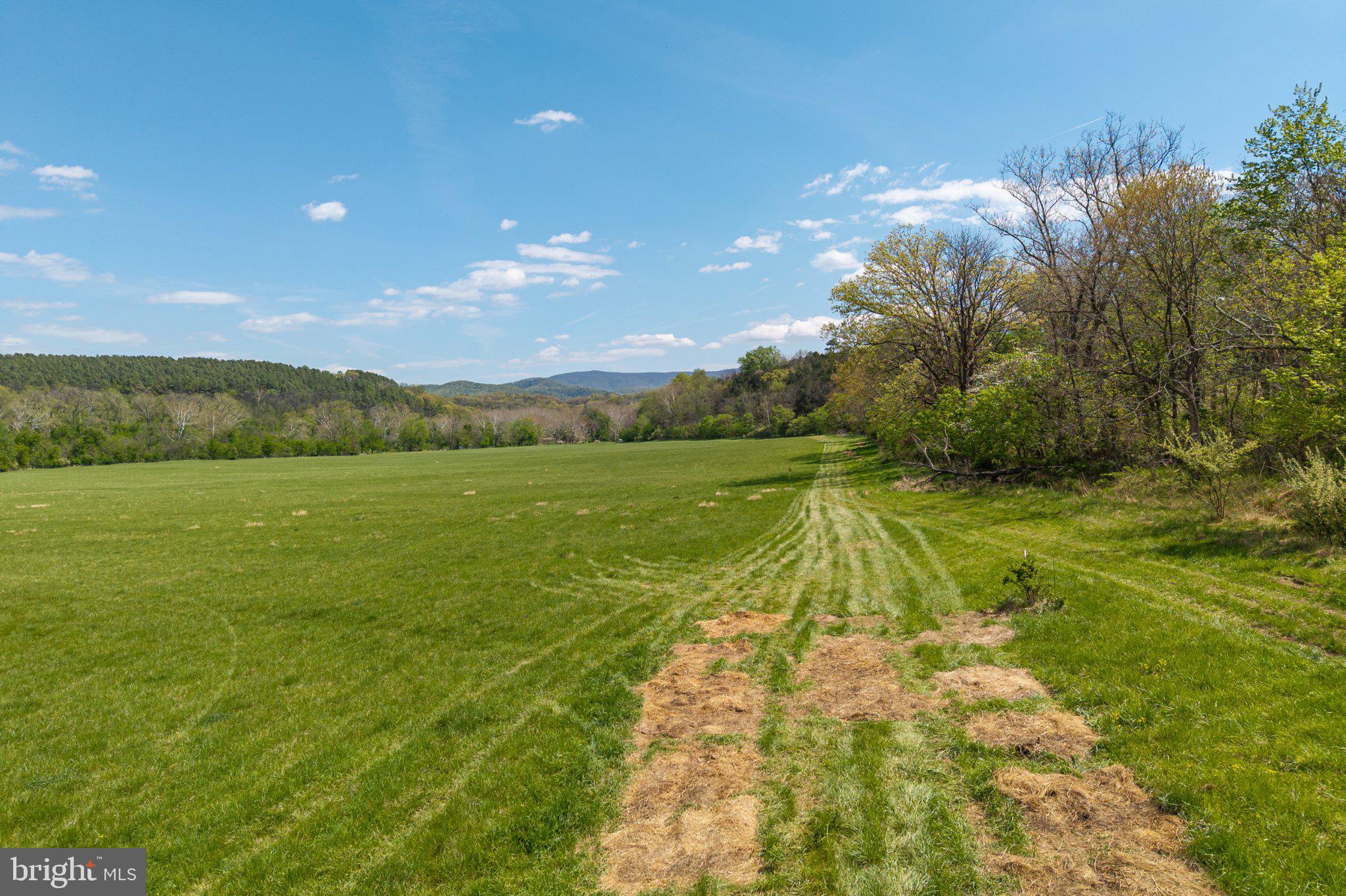 0 Good Mill Road Rileyville, VA 22650 - Photo 29 of 51 a view of an outdoor space and a yard