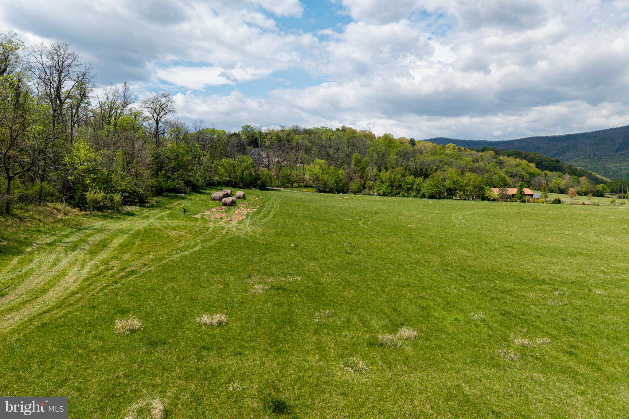 0 Good Mill Road Rileyville, VA 22650 - Photo 31 of 51 a view of an outdoor space and deck