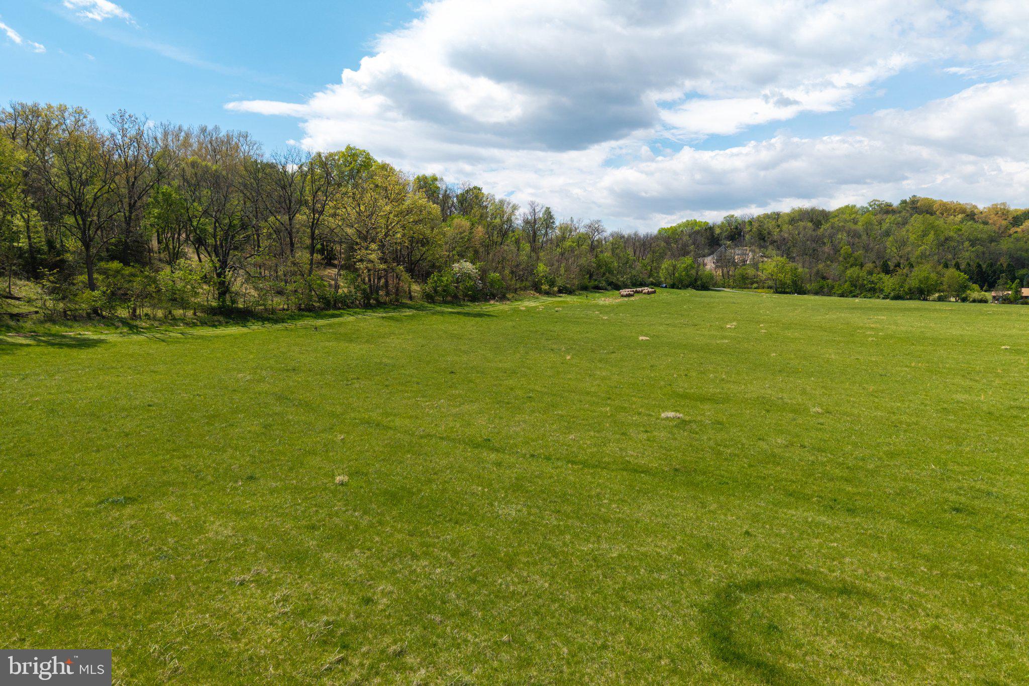 0 Good Mill Road Rileyville, VA 22650 - Photo 32 of 51 Expansive green landscape under blue skies.