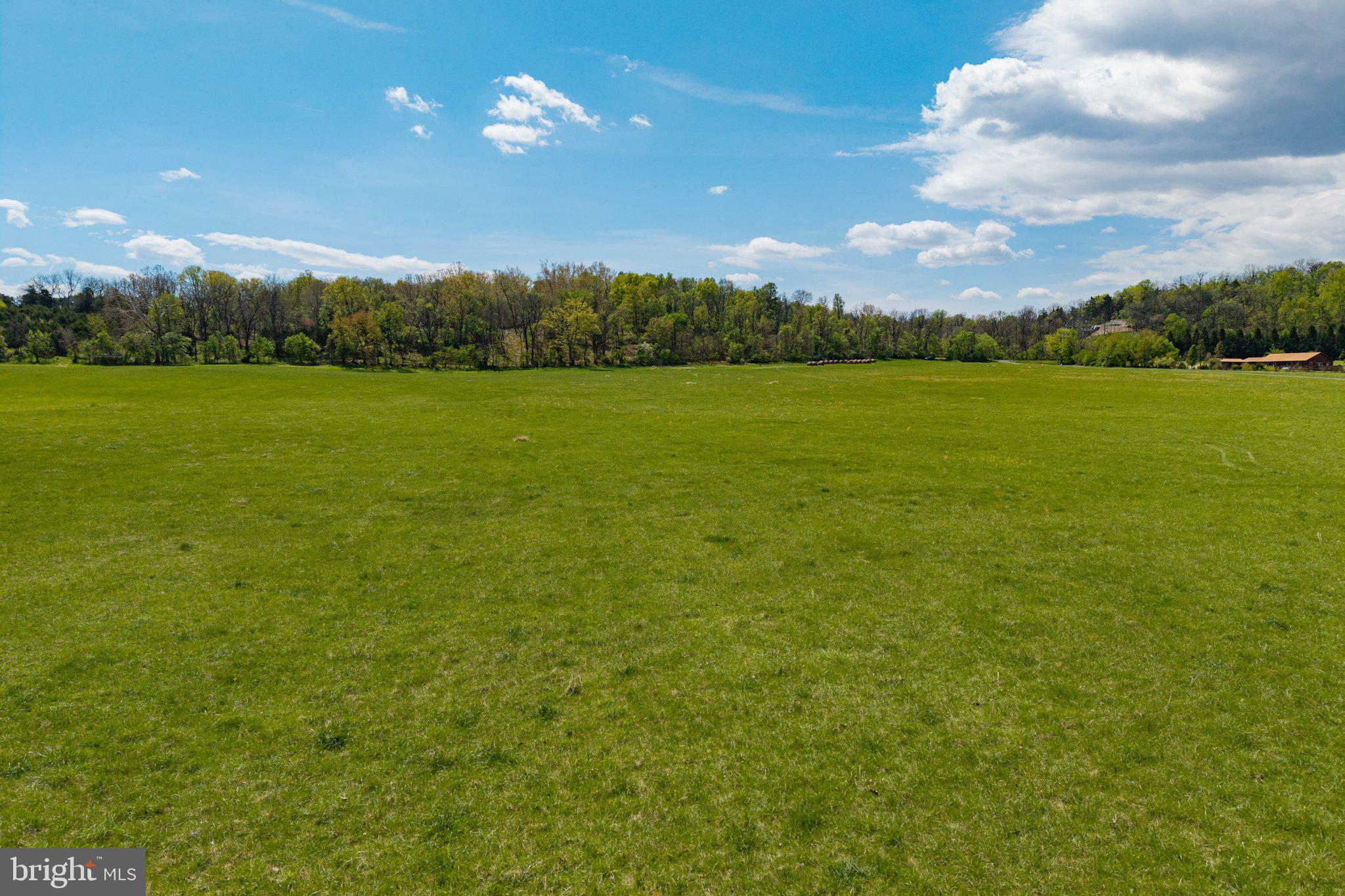 0 Good Mill Road Rileyville, VA 22650 - Photo 33 of 51 Vast green expanse under blue skies.