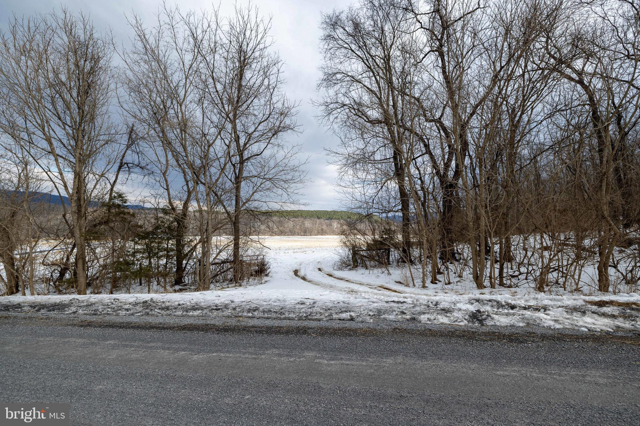 0 Good Mill Road Rileyville, VA 22650 - Photo 33 of 46 a view of a yard covered with snow