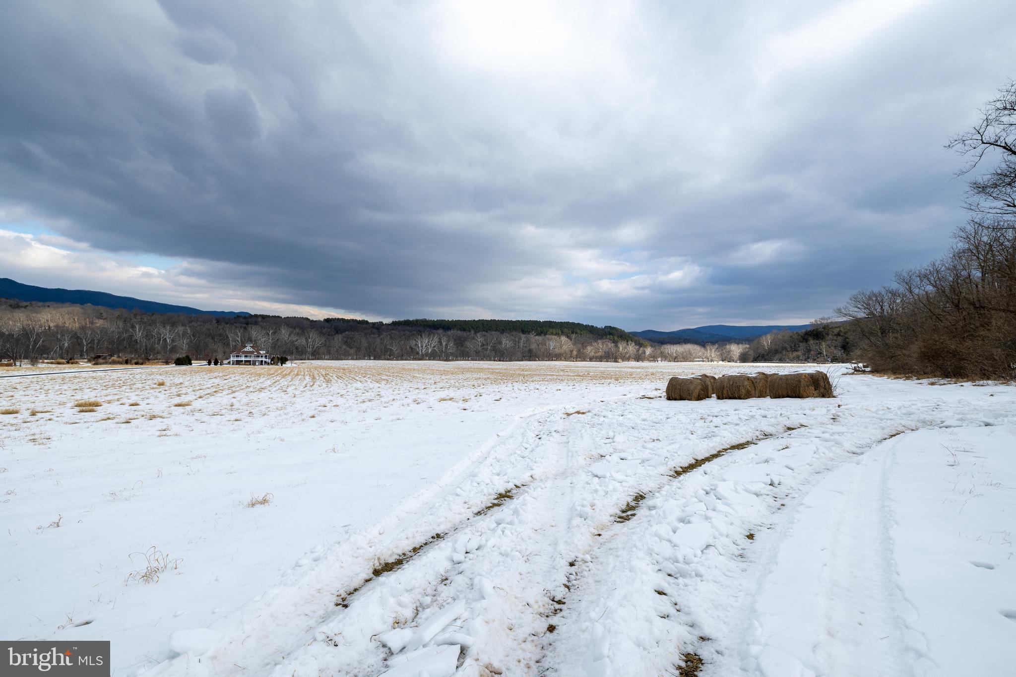 0 Good Mill Road Rileyville, VA 22650 - Photo 35 of 46 a view of ocean beach with large trees