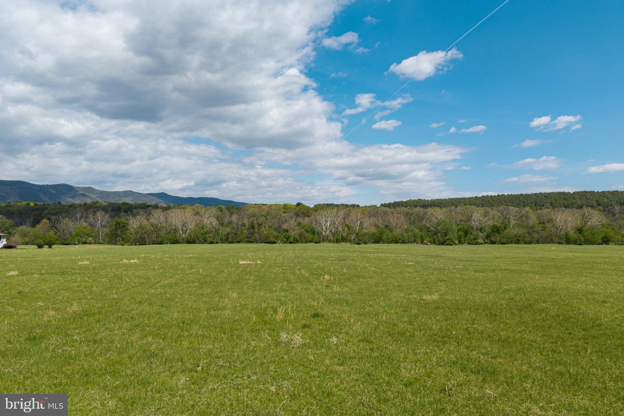 0 Good Mill Road Rileyville, VA 22650 - Photo 37 of 51 Vast green expanse under blue skies.