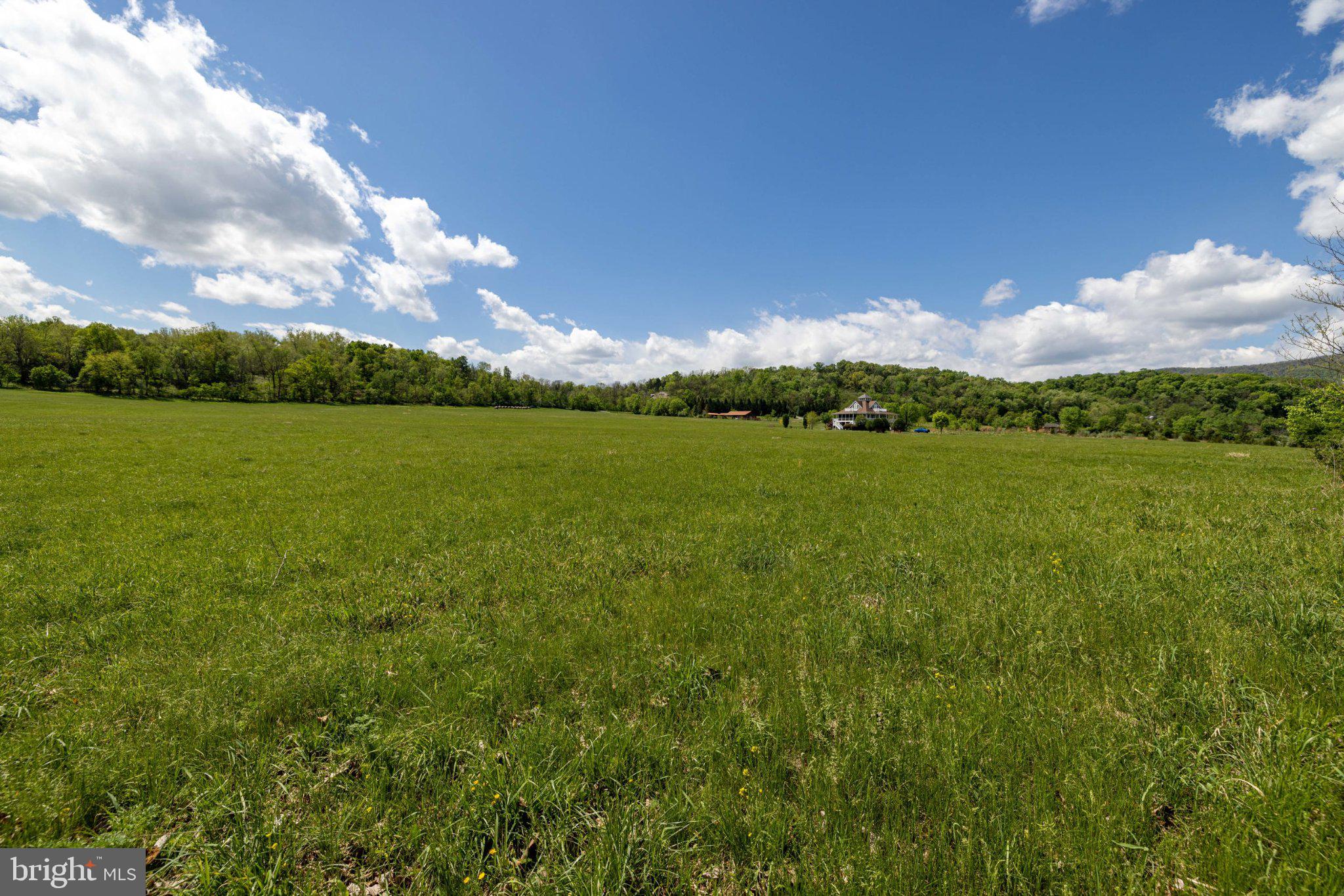 0 Good Mill Road Rileyville, VA 22650 - Photo 41 of 51 a view of an ocean and a mountain