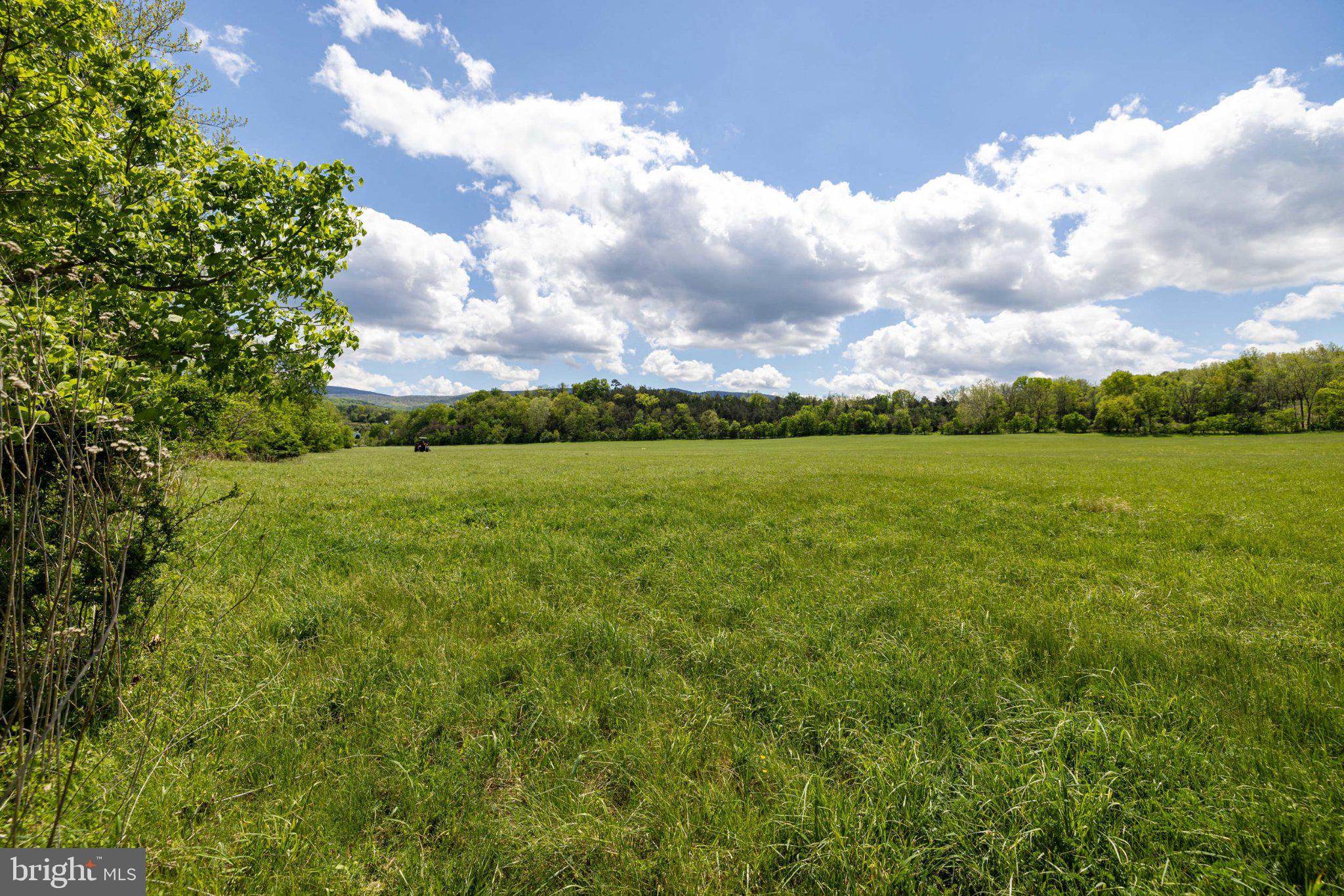 0 Good Mill Road Rileyville, VA 22650 - Photo 42 of 51 Vast green fields under blue skies.