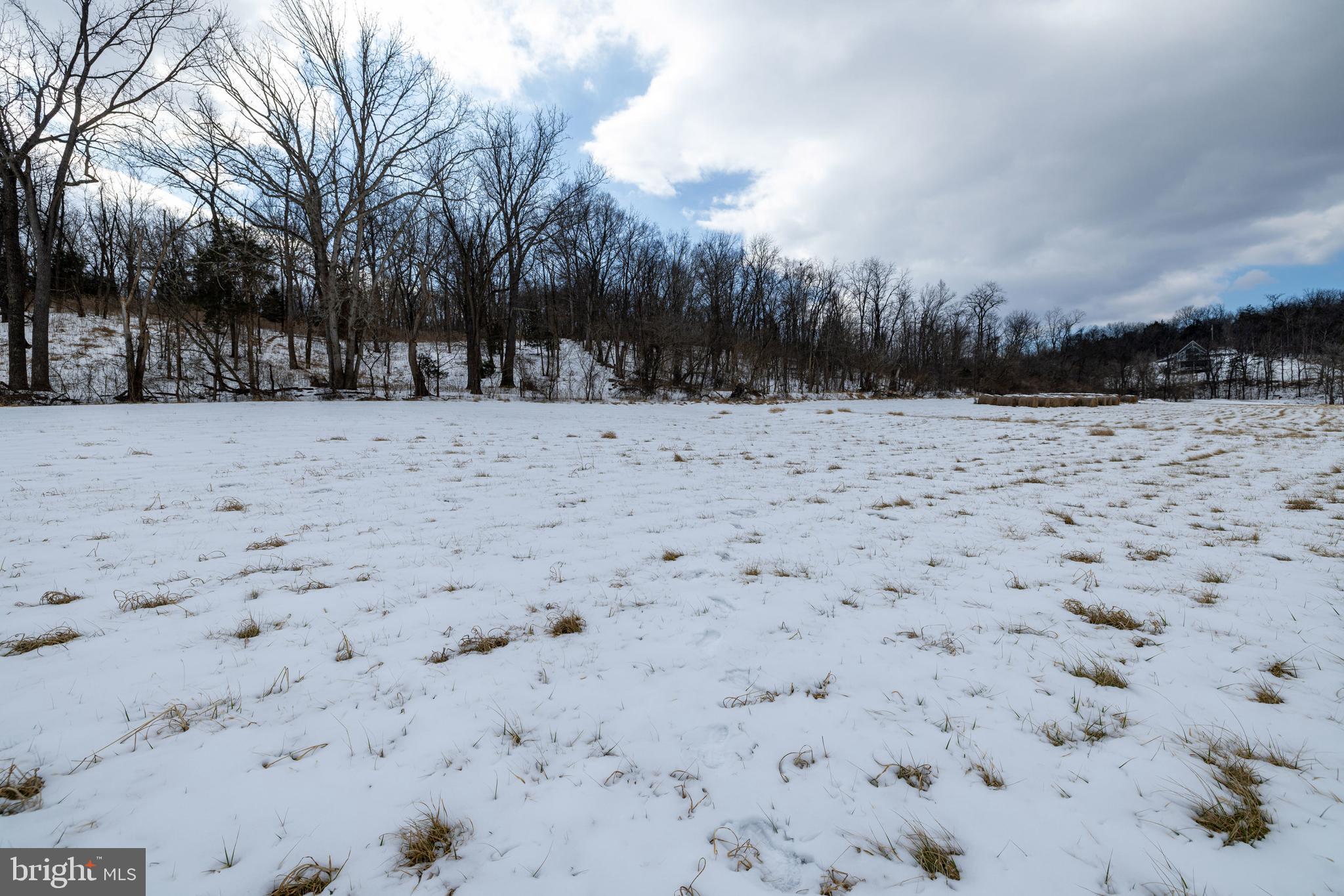 0 Good Mill Road Rileyville, VA 22650 - Photo 44 of 46 a view of road and snow
