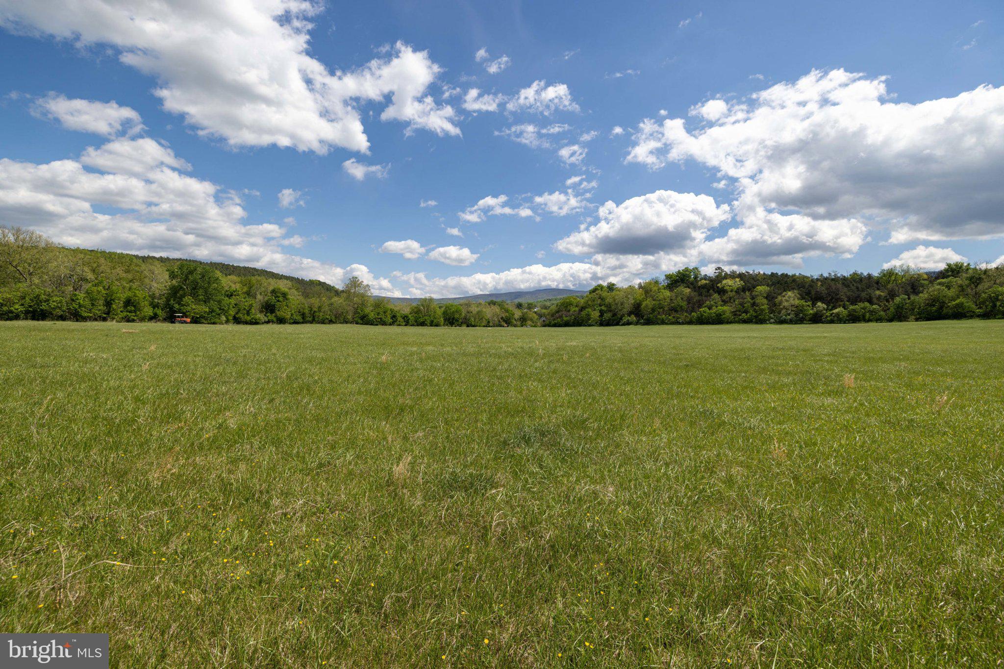 0 Good Mill Road Rileyville, VA 22650 - Photo 44 of 51 Vast green meadow under blue skies.