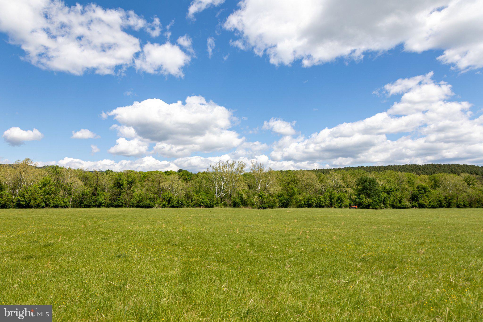 0 Good Mill Road Rileyville, VA 22650 - Photo 45 of 51 Vast green fields under a blue sky.