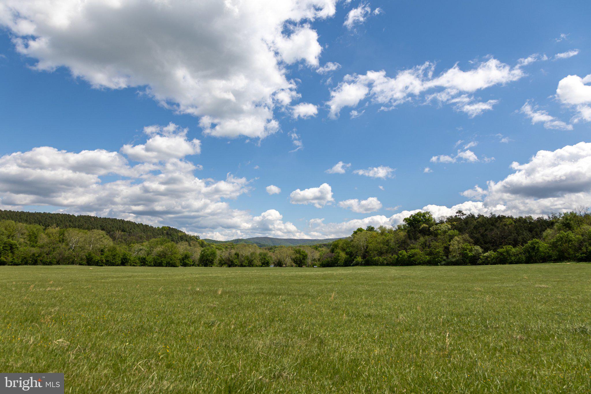 0 Good Mill Road Rileyville, VA 22650 - Photo 46 of 51 a view of a big yard with lots of green space