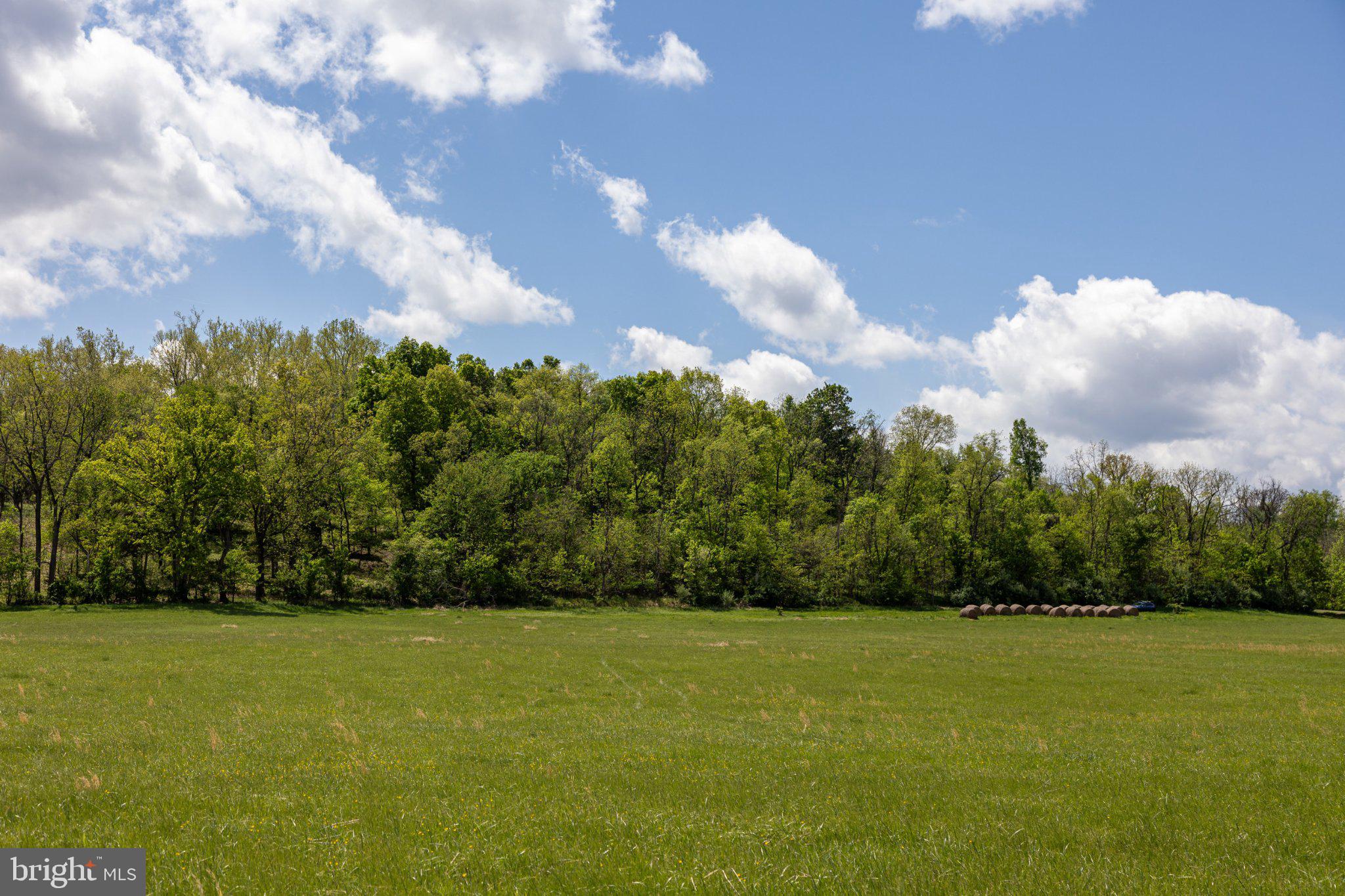 0 Good Mill Road Rileyville, VA 22650 - Photo 48 of 51 Lush green fields meet vibrant skies.