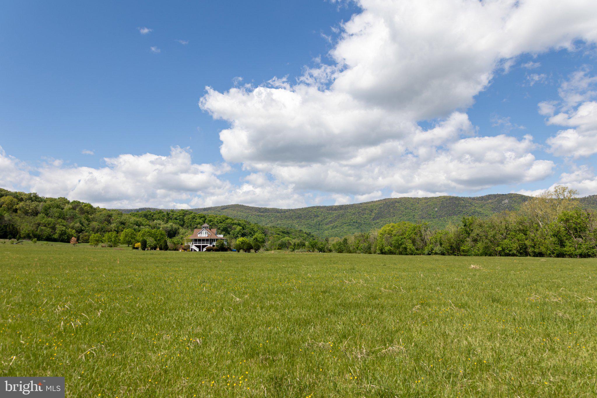 0 Good Mill Road Rileyville, VA 22650 - Photo 50 of 51 Serene countryside retreat awaits.
