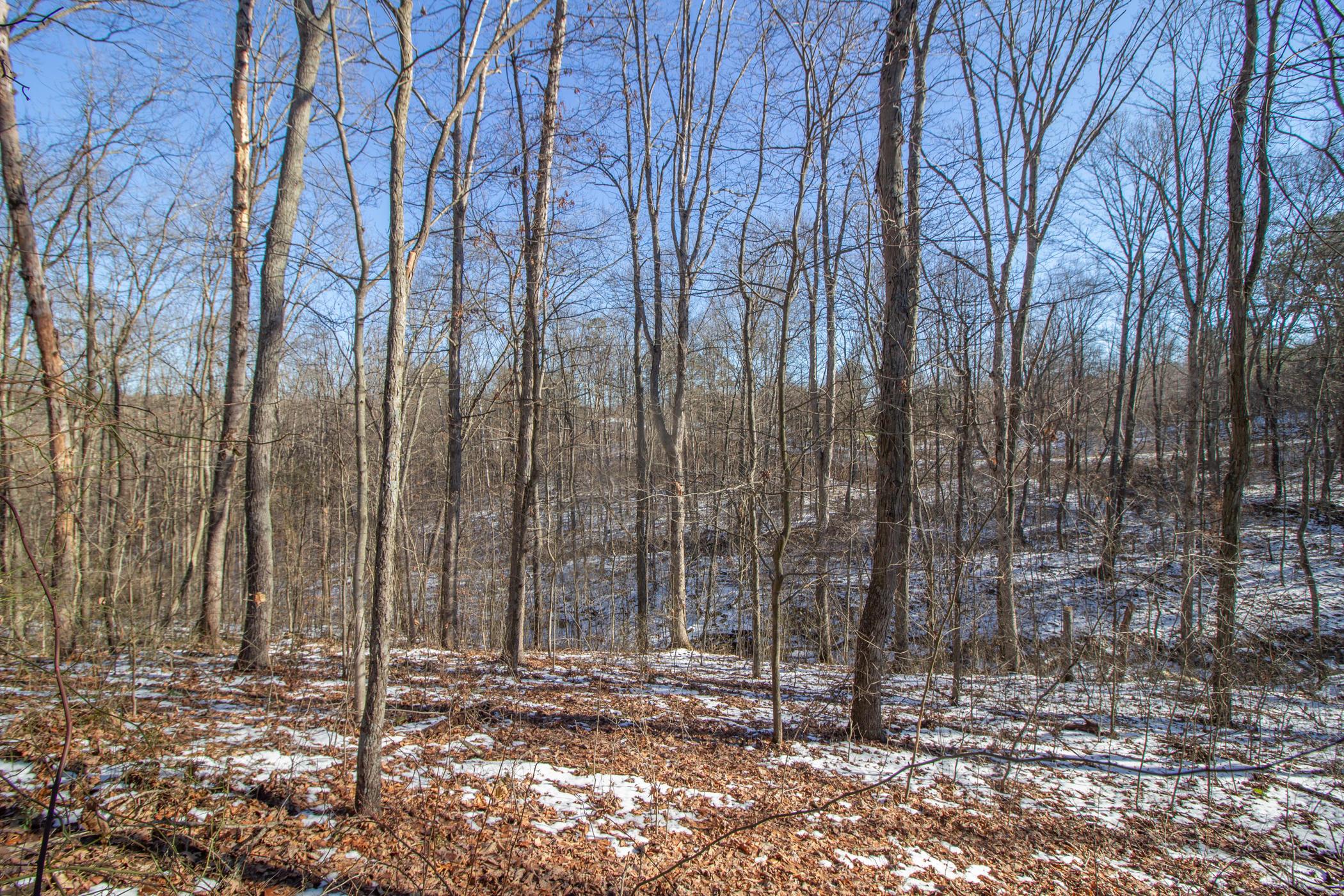 0 Garrett Ridge Road McArthur, OH 45651 - Photo 11 of 15