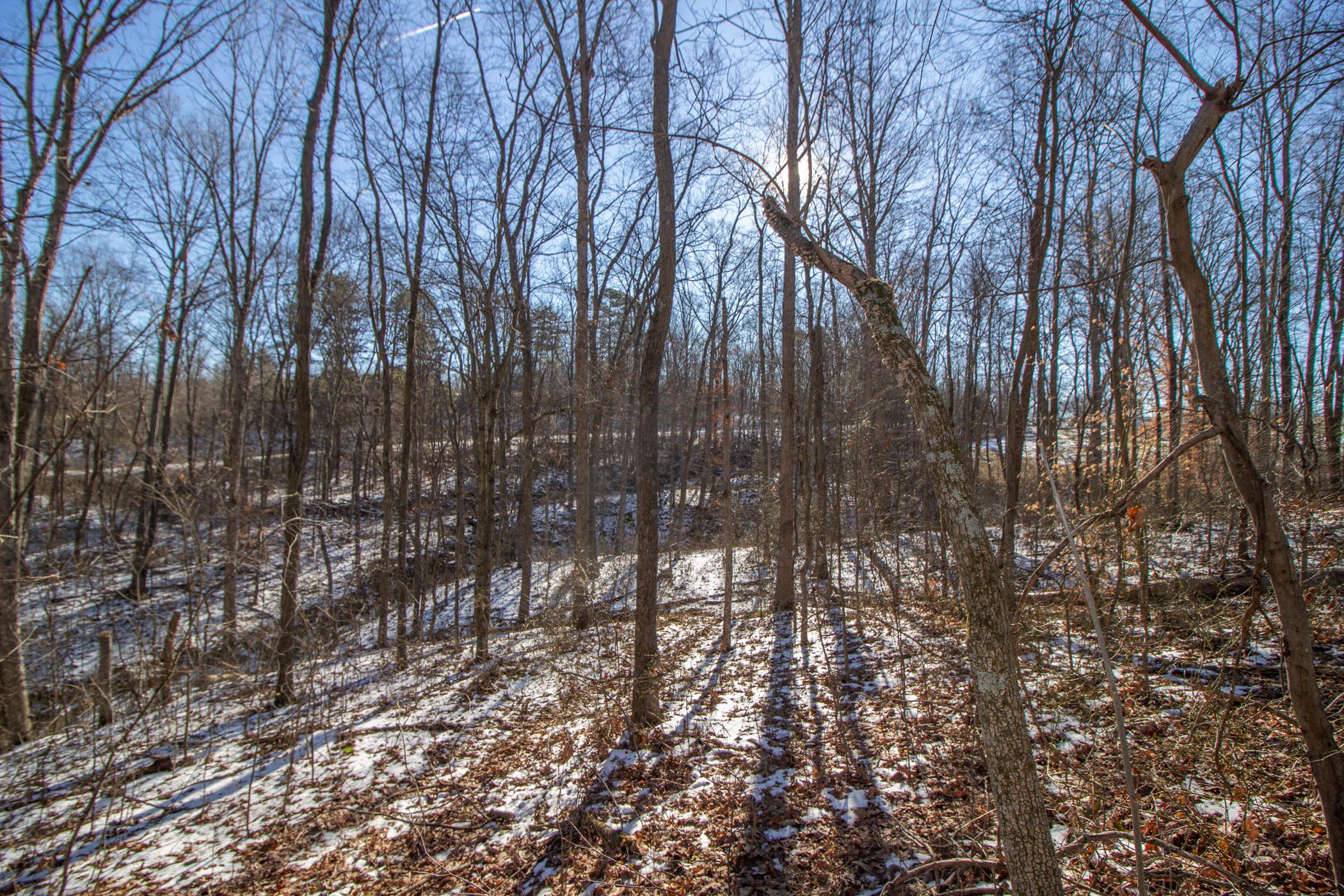 0 Garrett Ridge Road McArthur, OH 45651 - Photo 12 of 15