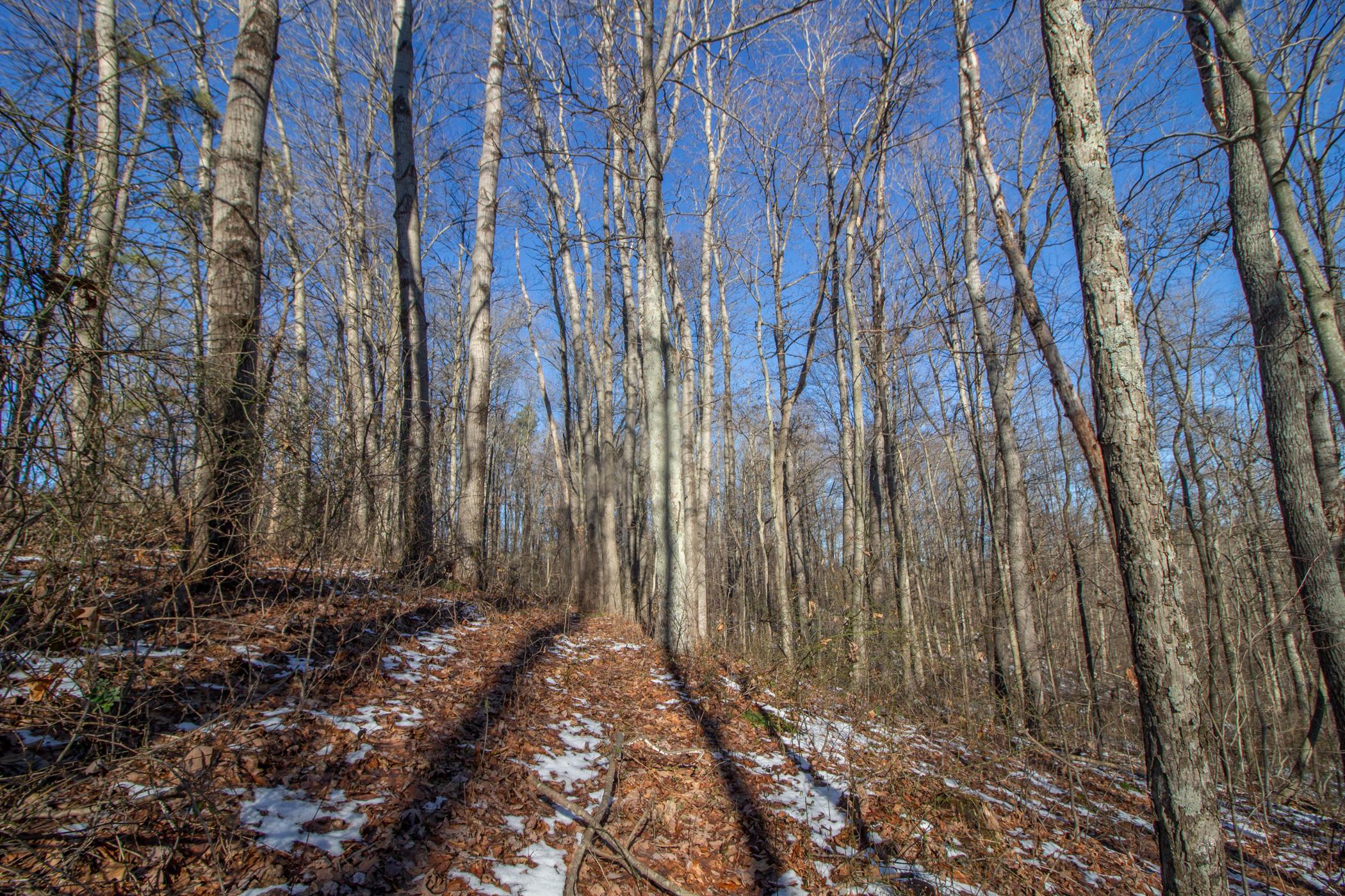 0 Garrett Ridge Road McArthur, OH 45651 - Photo 13 of 15