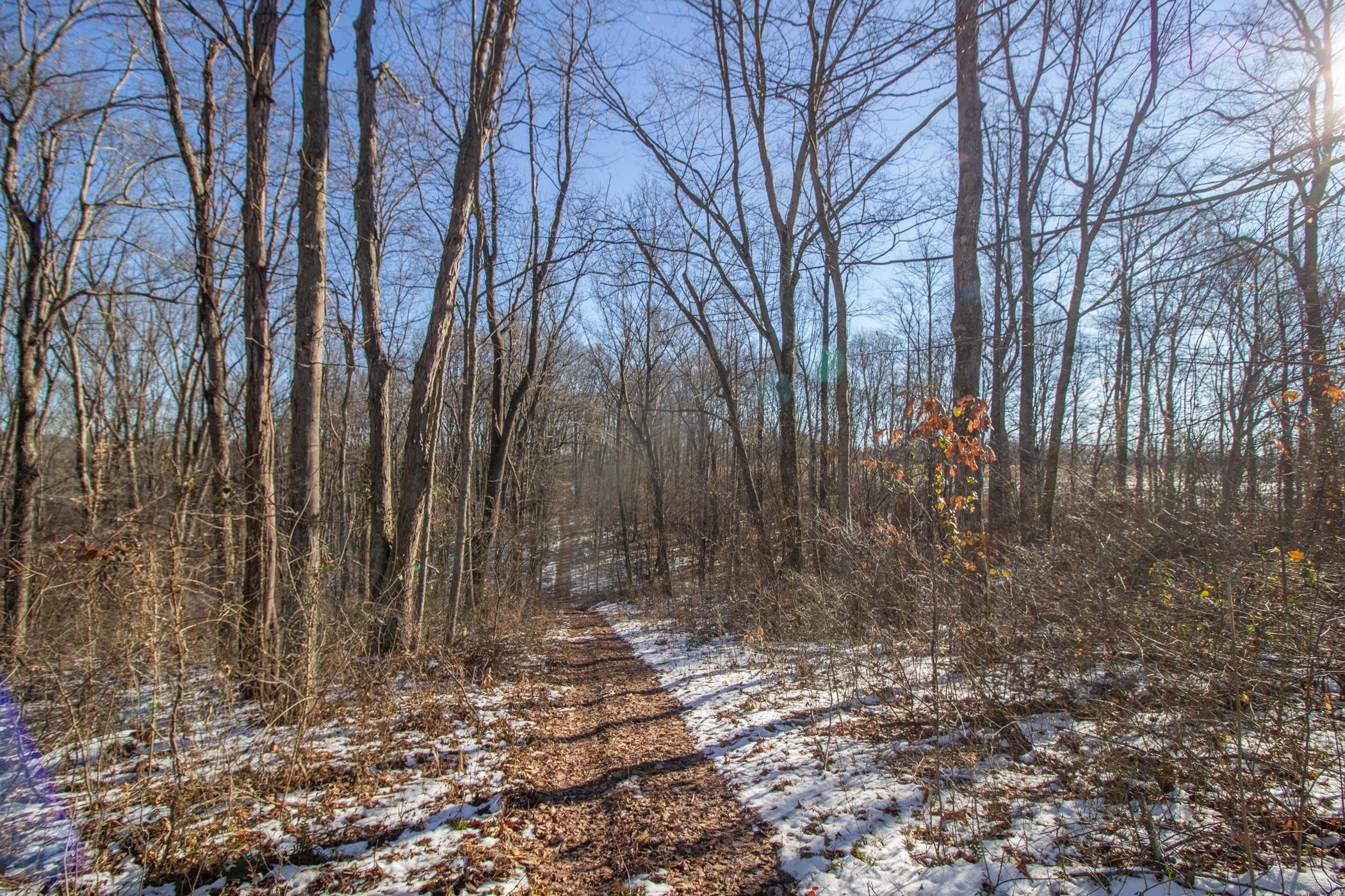 0 Garrett Ridge Road McArthur, OH 45651 - Photo 6 of 15