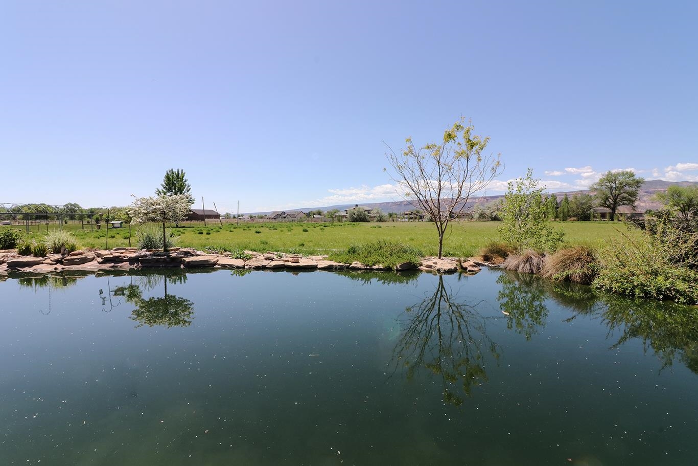 1983 J Road Fruita, CO 81521 - Photo 25 of 42 a view of a lake with a big yard