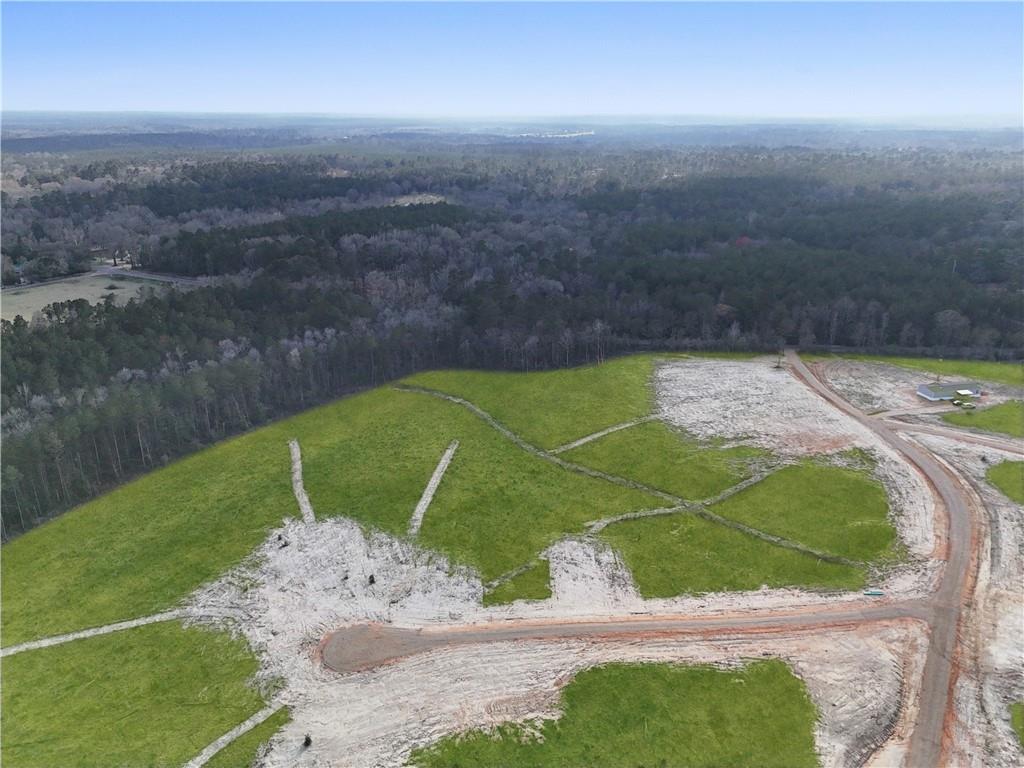 0 Lot 13 Highway Angie, LA 70426 - Photo 3 of 4