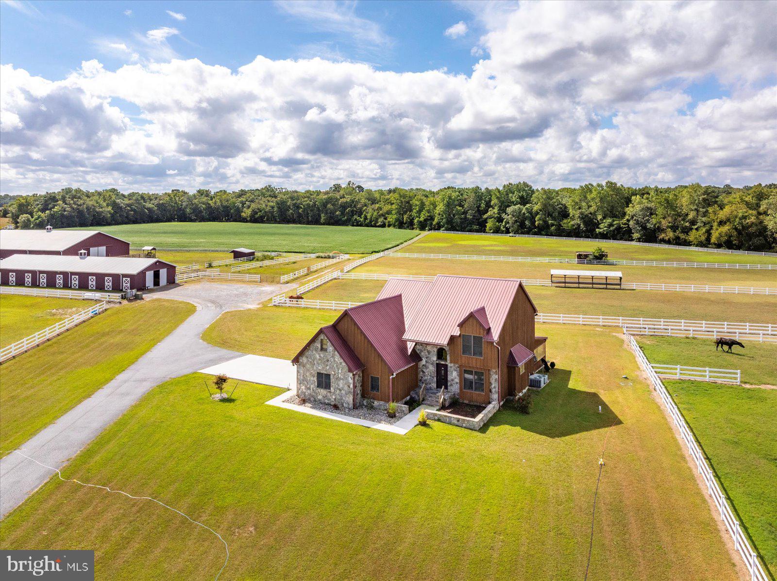 10036 Redden Road Bridgeville, DE 19933 - Photo 3 of 48