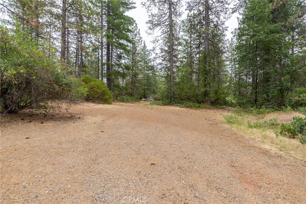 15184 Siwini Road Forest Ranch, CA 95942 - Photo 28 of 75