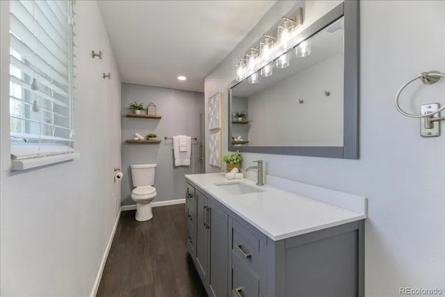 a bathroom with a sink a toilet and mirror