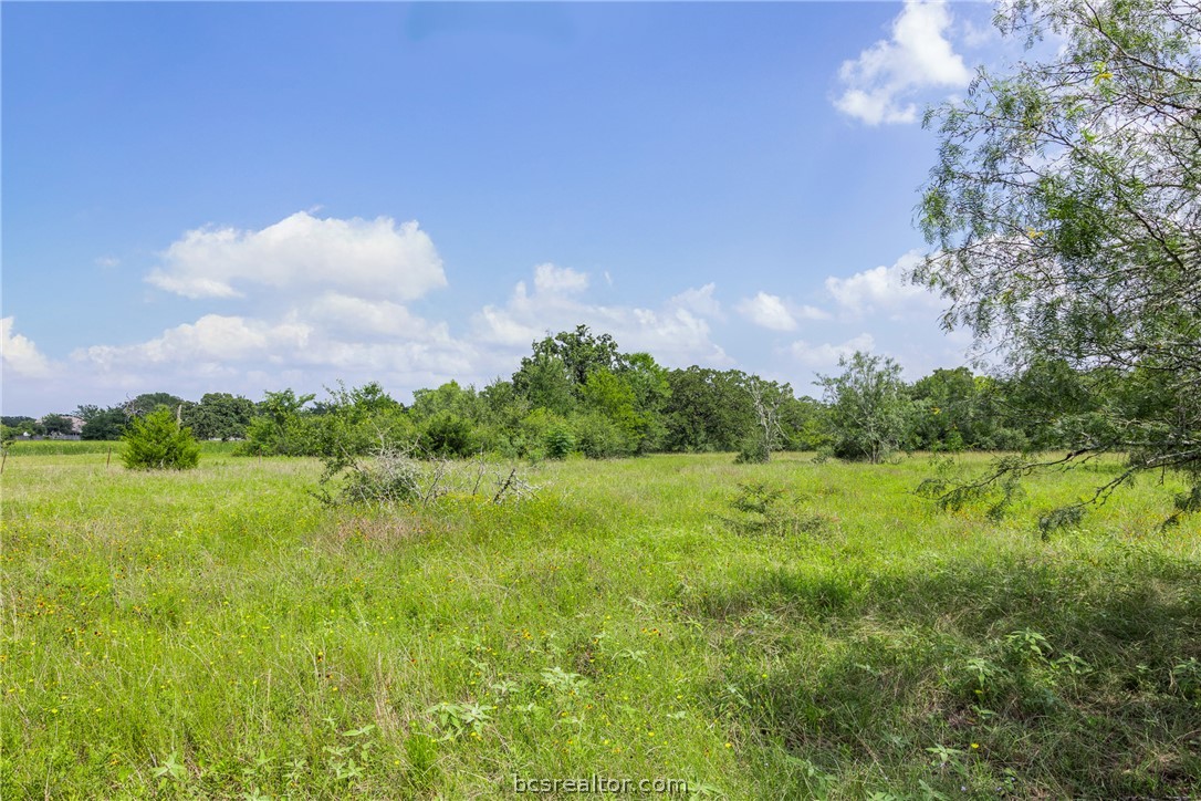 11504 North Dowling Road College Station, TX 77845 - Photo 4 of 22