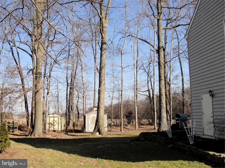 123 Olde Pilgrim Road Dublin, PA 18917 - Photo 25 of 25 Back Yard