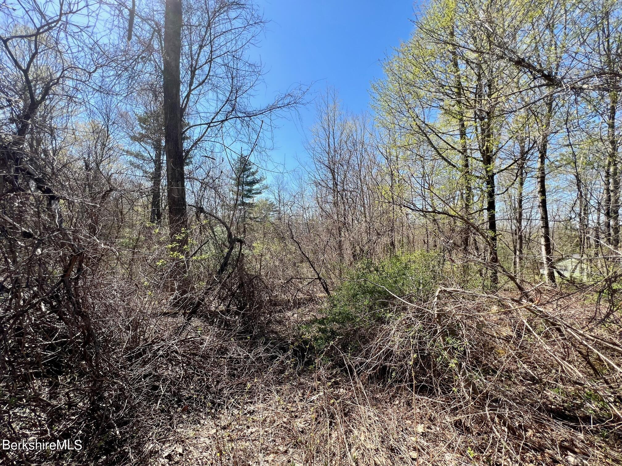 1 Housatonnuck Road Stockbridge, MA 01262 - Photo 4 of 7 a view of a yard